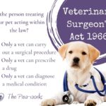 Veterinary Surgeons Act 1966