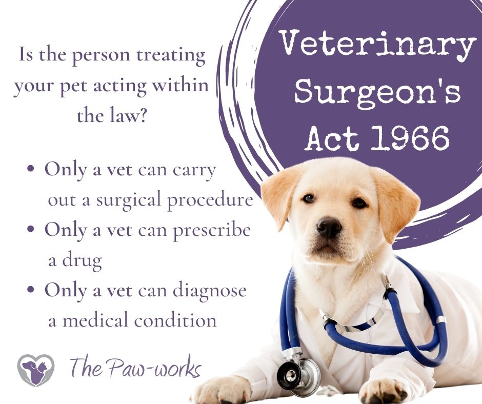 Veterinary Surgeons Act 1966