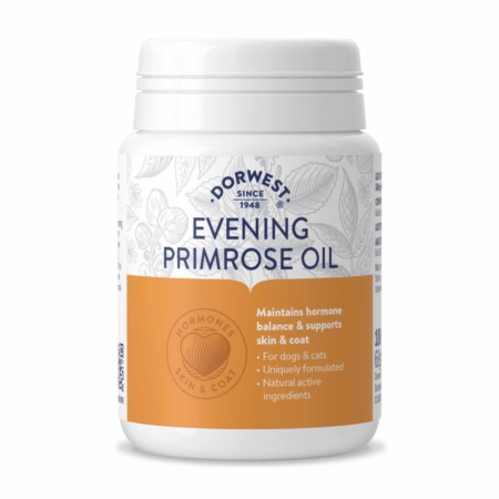 Dorwest Evening Primrose Oli