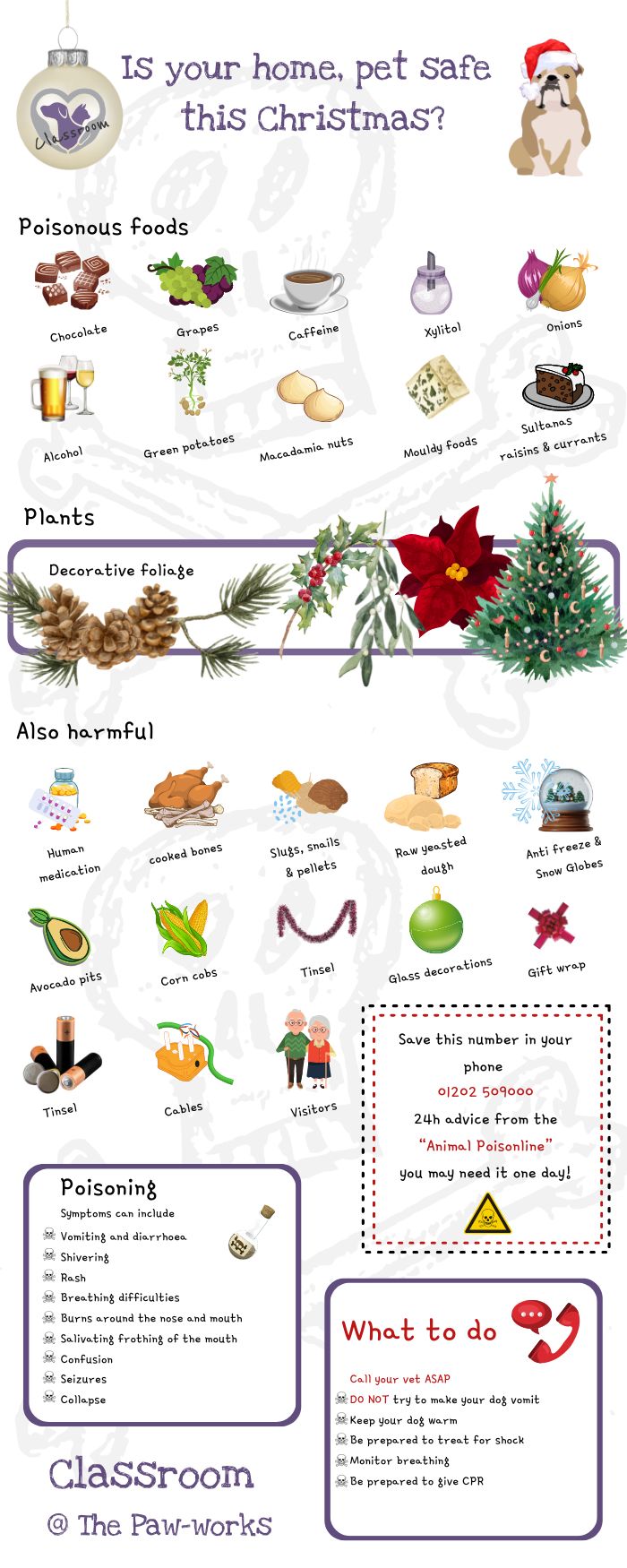 Is your pet safe this Christmas?