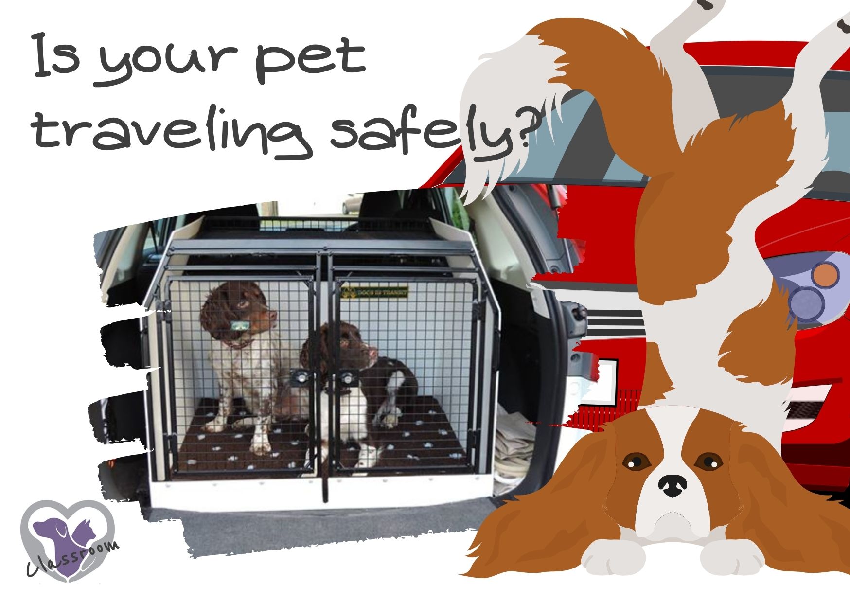 Is your pet traveling safely