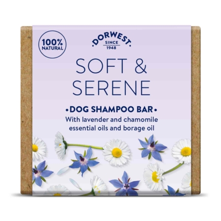 Soft-serene-soup-bar