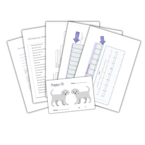 Whelping-pack-documents