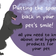 Dog-Smile-bad breath