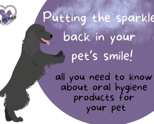 Dog-Smile-bad breath