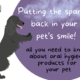 Dog-Smile-bad breath