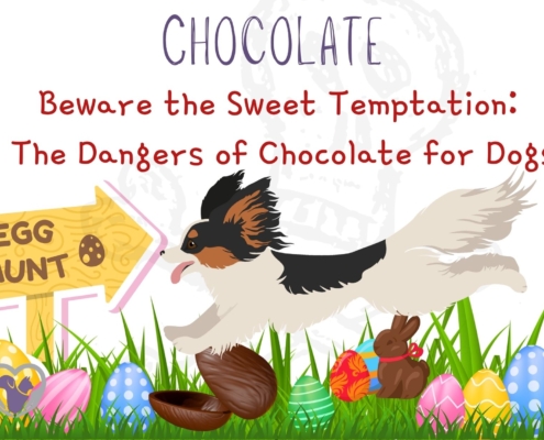 Dog running easter eggs
