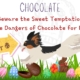 Dog running easter eggs