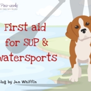 Water First Aid for dogs wehn swimming or paddleboarding