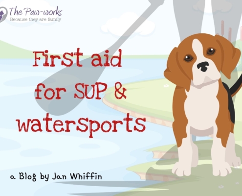 Water First Aid for dogs wehn swimming or paddleboarding