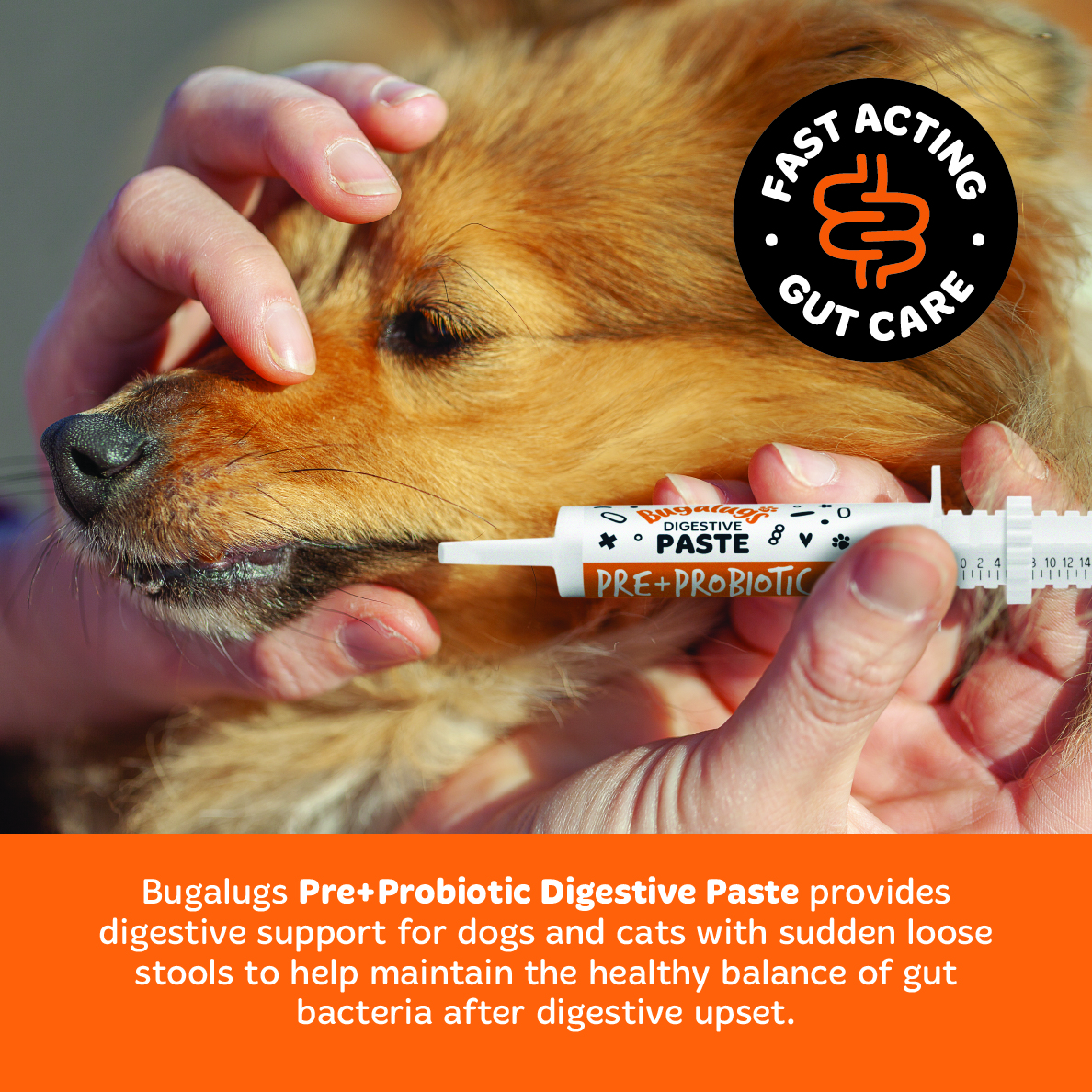 Bugalugs Probiotic Paste - Image 4