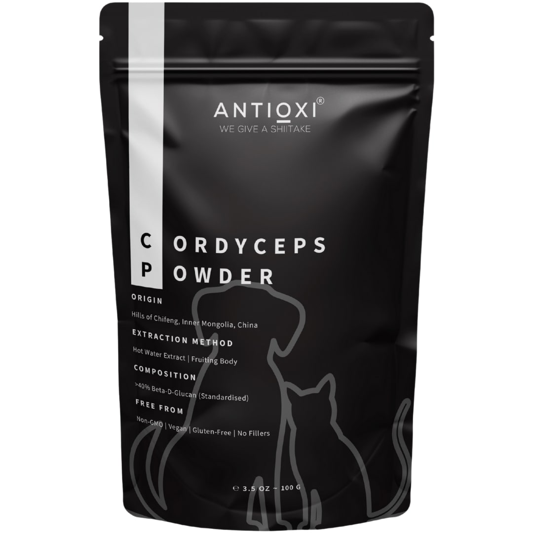 Antioxi Cordyceps For Pets 100g