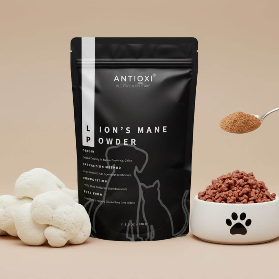 Antioxi Lions Mane For Pets 100g - Image 2