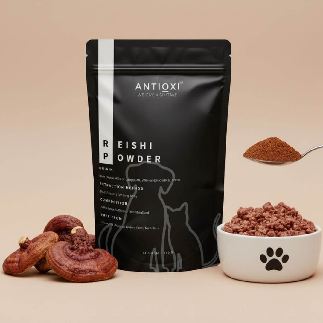 Antioxi Reishi For Pets 100g - Image 2
